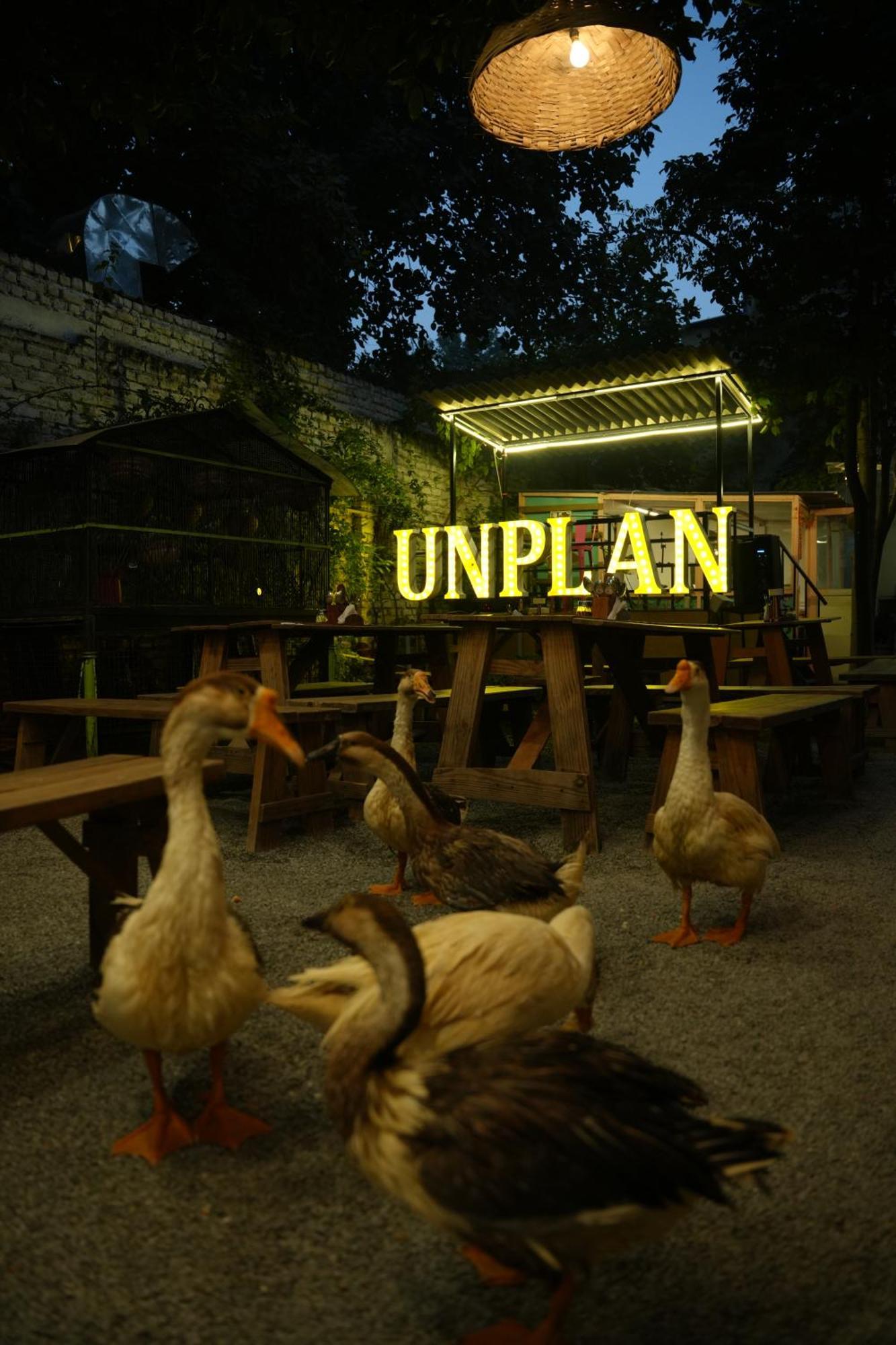 Unplanned Hostel Udaipur Exteriör bild